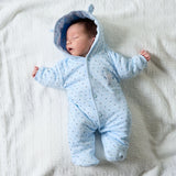 Dandelion Tiny Baby Bear Star Printed Pramsuit - Blue