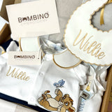 Baby Boys Lion Cub With Butterfly Handmade Sleepsuit & Bib