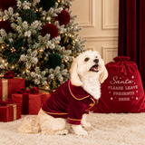 PRE-ORDER The Mayfair Collection Ruby Edition – Luxury Velvet Christmas Dog Pyjamas