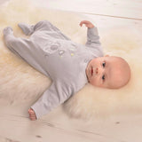 Dandelion Elephant And Bird With Balloon Sleepsuit - Grey