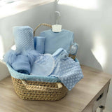 Boys Blue Hospital Coming Home Basket Newborn